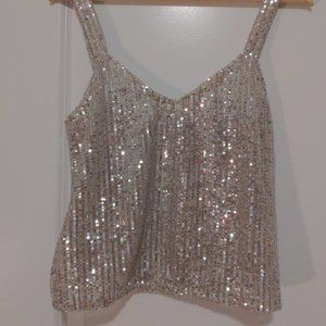 Zara Silver Sequin Mid-drift Top